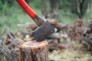 bomen laten kappen